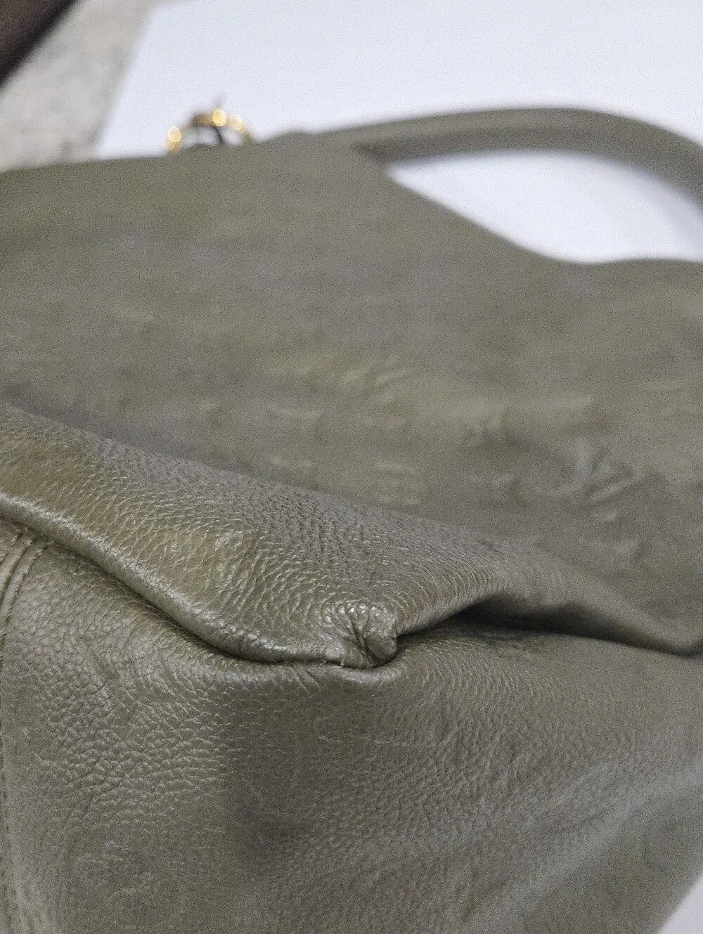 Louis Vuitton authentic louis